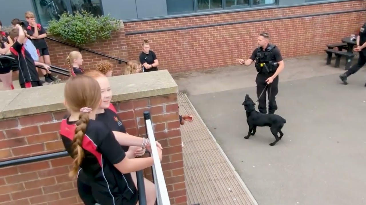 The Role of a Dog Handler