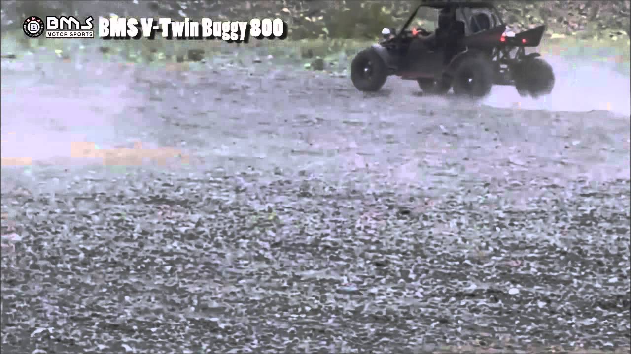 BMS V-TWIN BUGGY 800