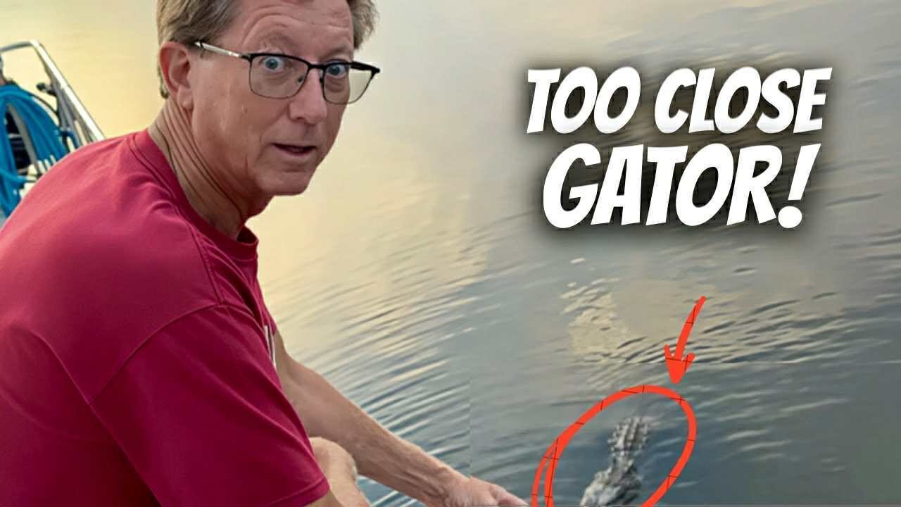 Snakes & Turtles & Gators, Oh My!, Ep-317
