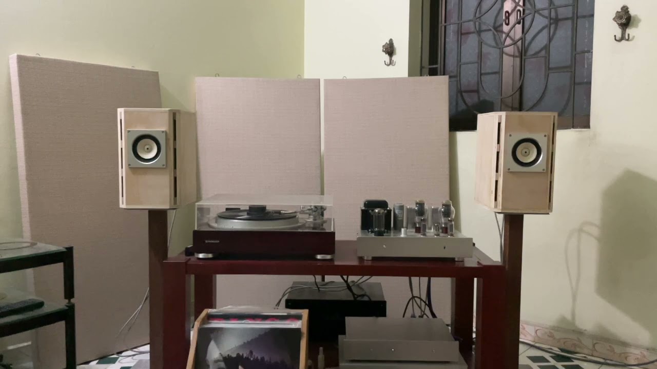 Fostex FE103a box MiniOnken & 300B DIY