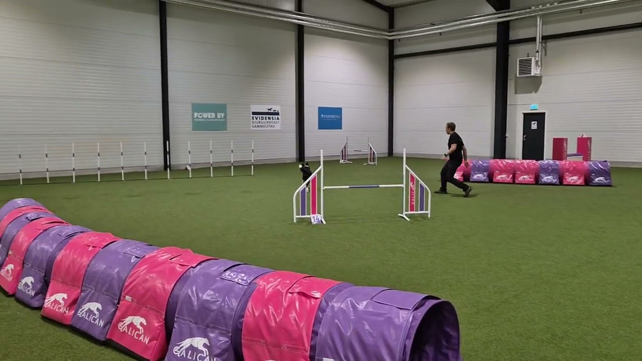 FrostFajten - Agility Hoppklass 3C - Daniel och Vilgot