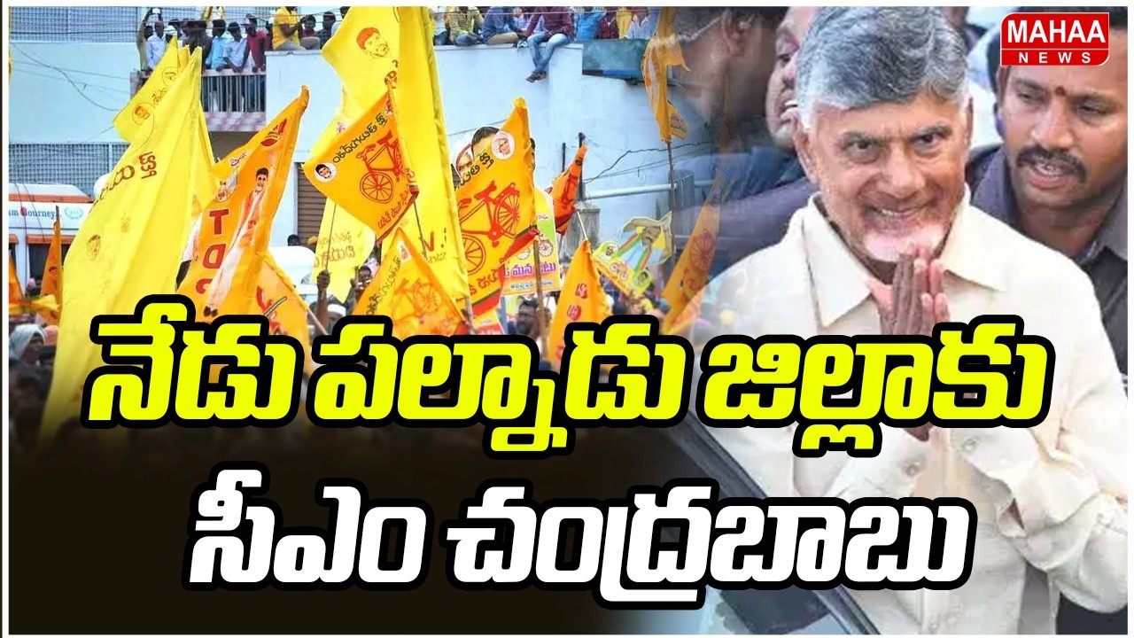 నేడు పల్నాడు జిల్లా కు  సీఎం చంద్రబాబు | CM Chandrababu Palnadu District Tour Shedule | Mahaa News