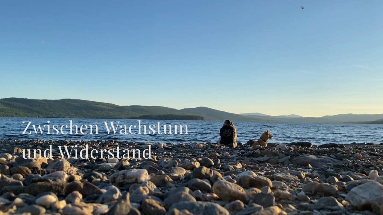 Ein Sommer mit kleinen Herausforderungen (S1 E30)