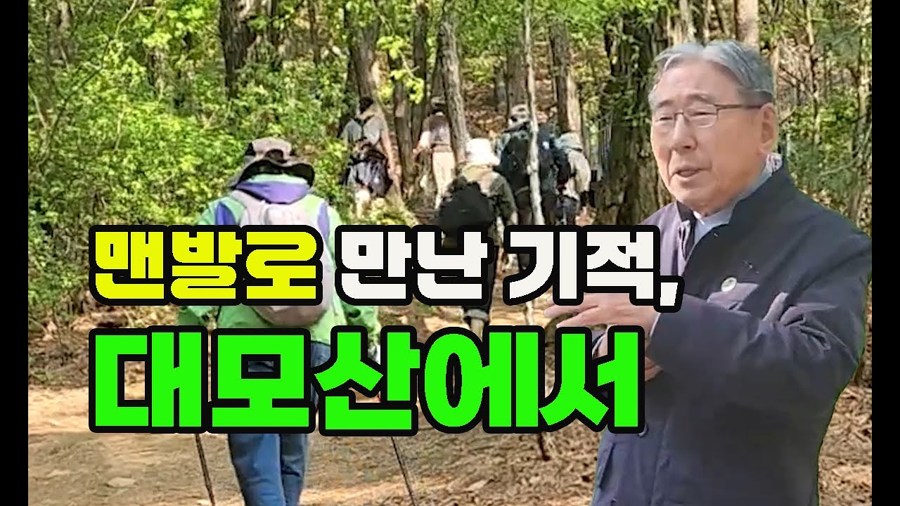 맨발로 대모산 정상까지 ! 힐링숲을 넘어서, 박동창회장님과 함께