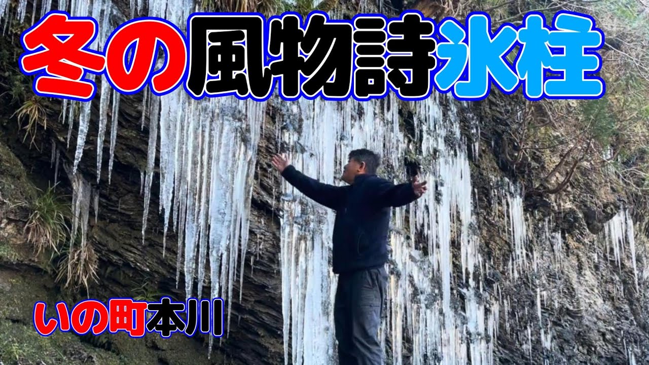 高知冬の風物詩本川の氷柱
