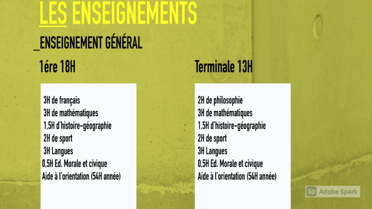 formation CCD & STD2A au lycée Le Corbusier