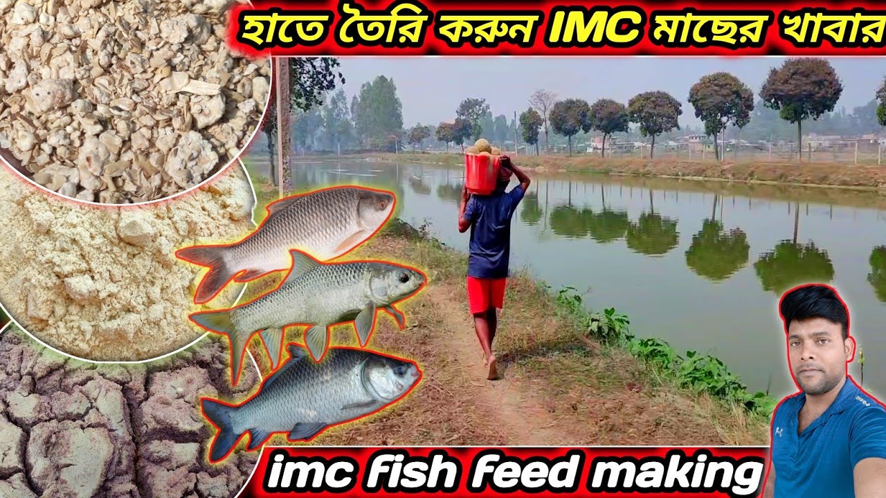 নিজের হাতেই তৈরি করতে পারবেন রুই,মৃগেল,ও কাতল মাছের খাবার how to making Imc fish feed