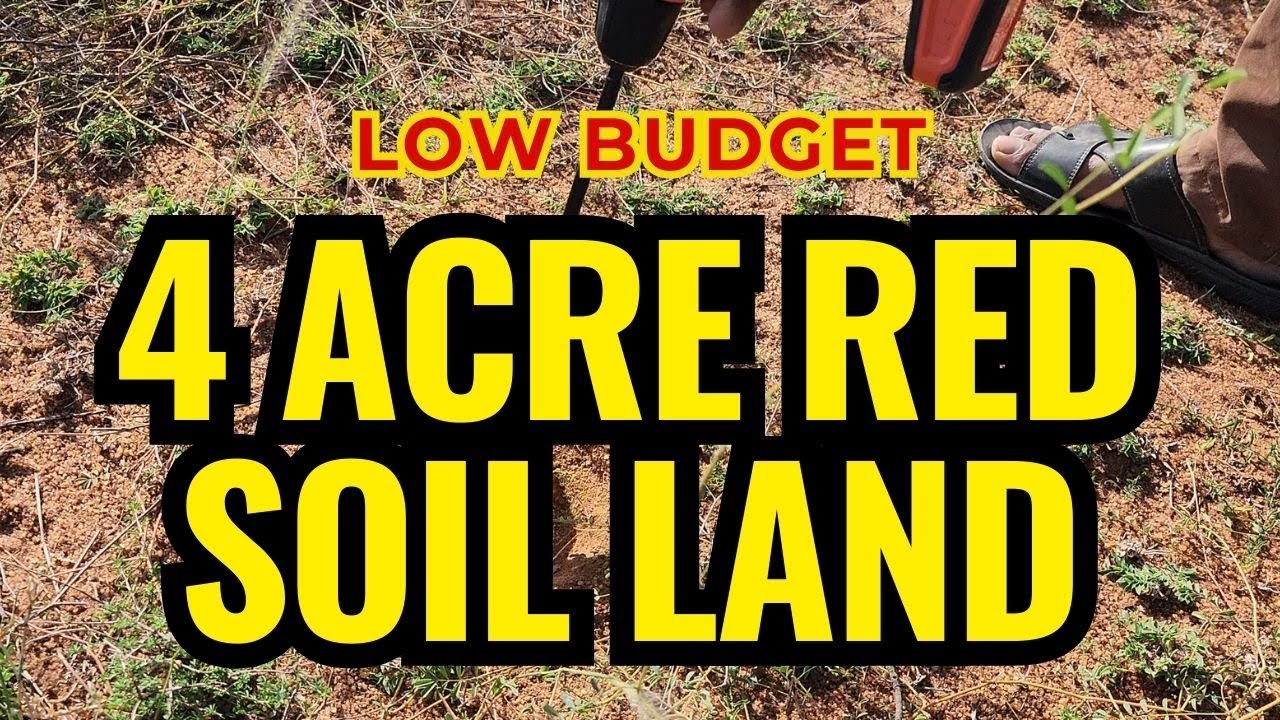 Low Budget 4 Acre RED Soil Agri land #agriculturallands