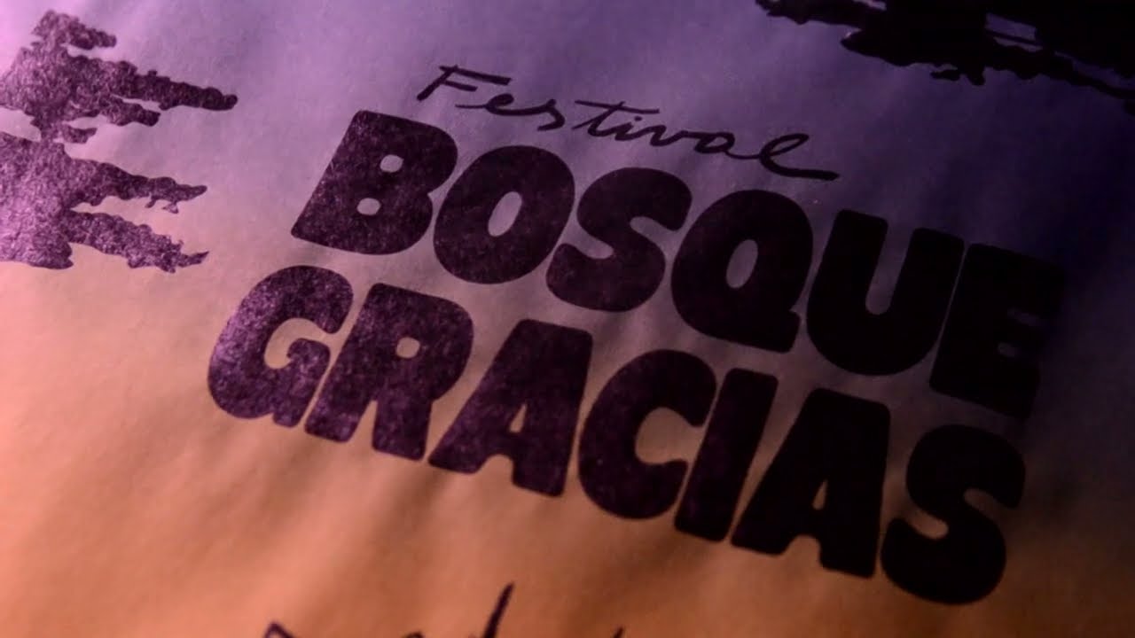 BOSQUEGRACIAS - Festival solidario 