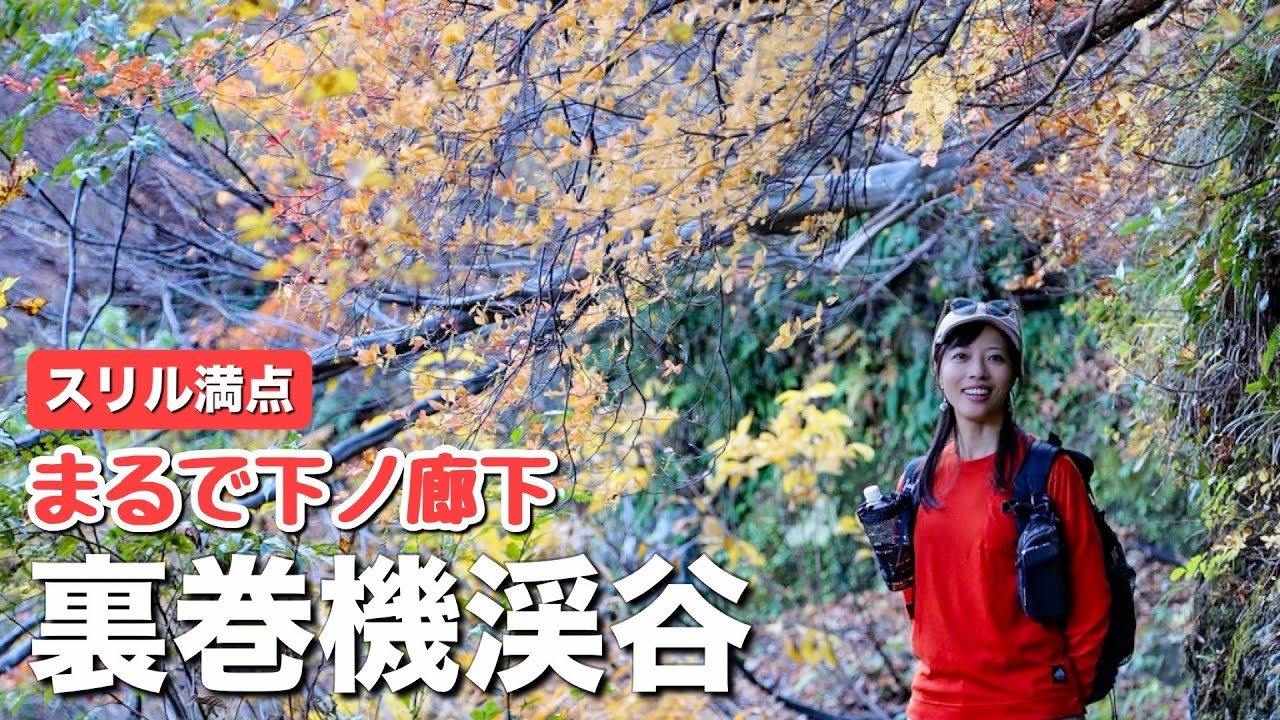 【紅葉の渓谷歩き】越後の下ノ廊下！裏巻機渓谷を歩いてきました