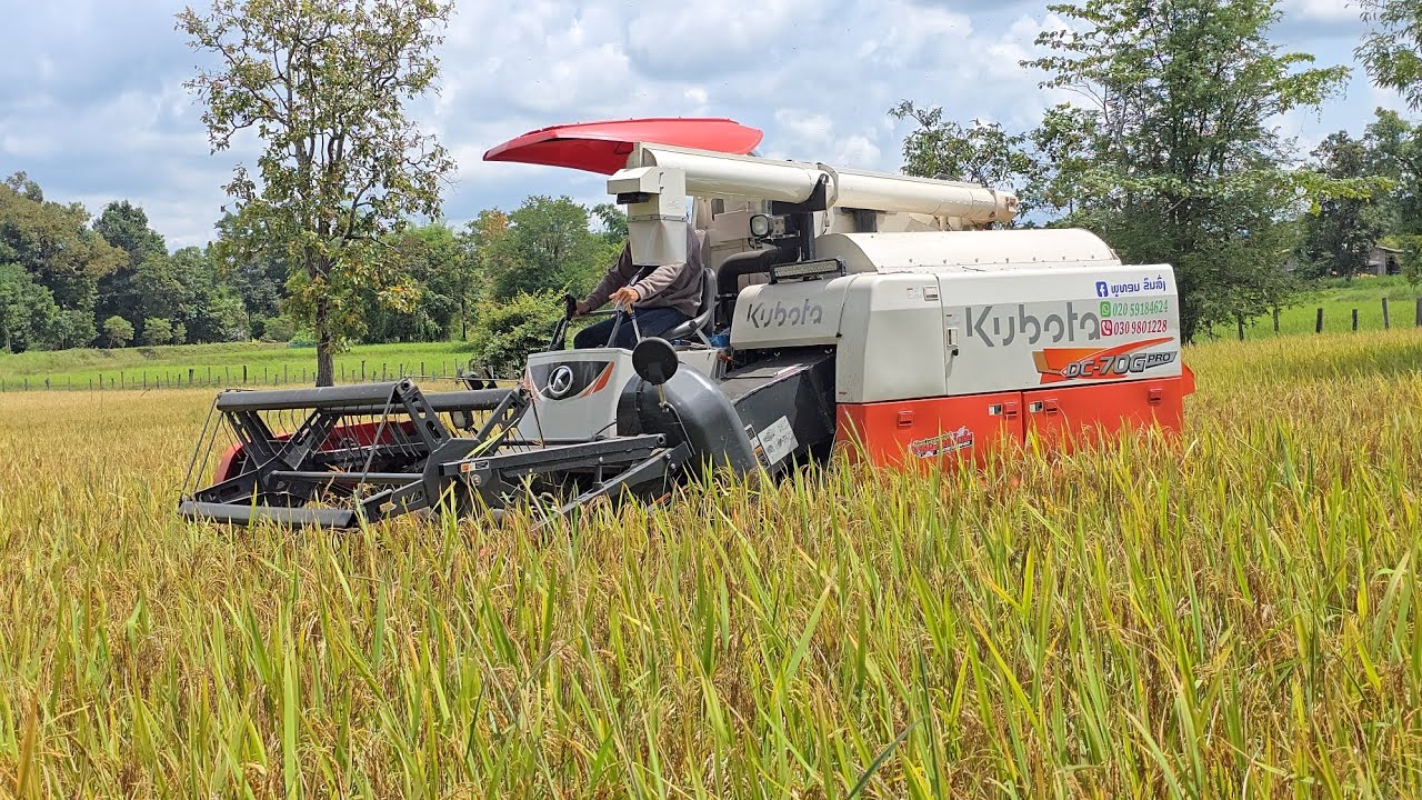 เคยเห็นแต่อยู่ประเทศไทย #รถเกี่ยวข้าว ไม่คิดว่ามันจะสบายแบบนี้ อลังการสุดๆ 😳😳