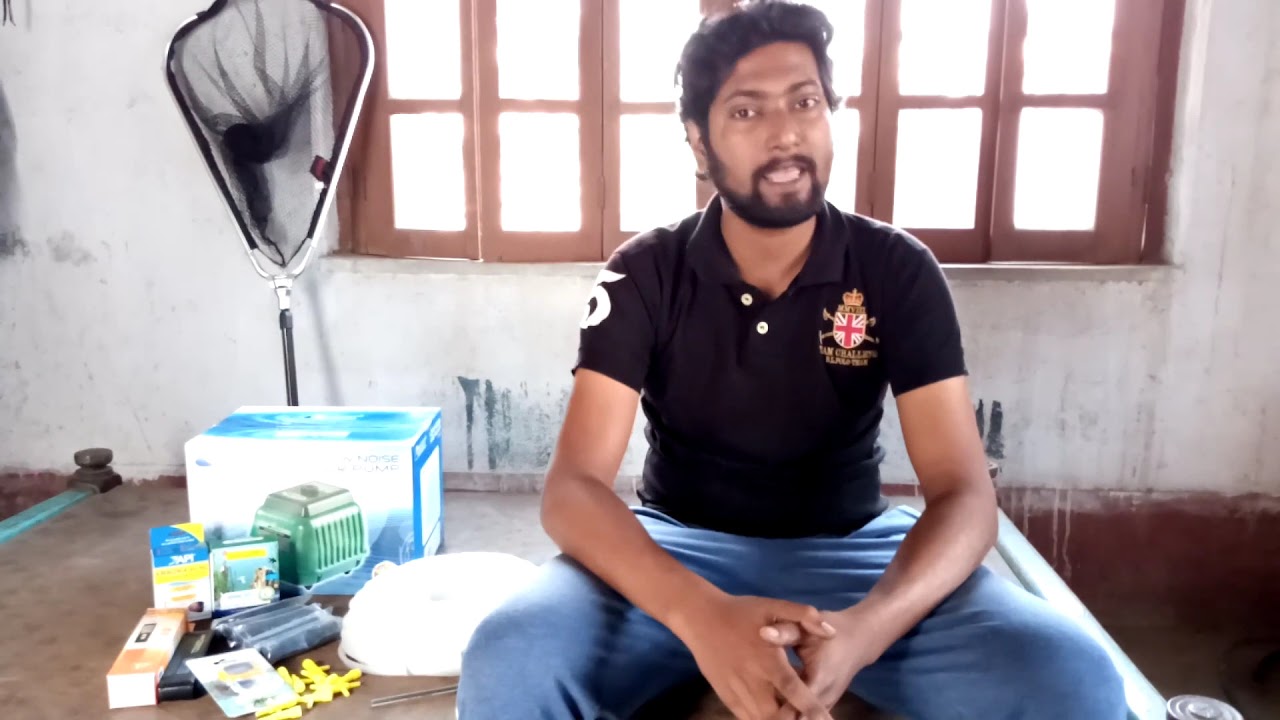 My First time Biofloc Fish Farming