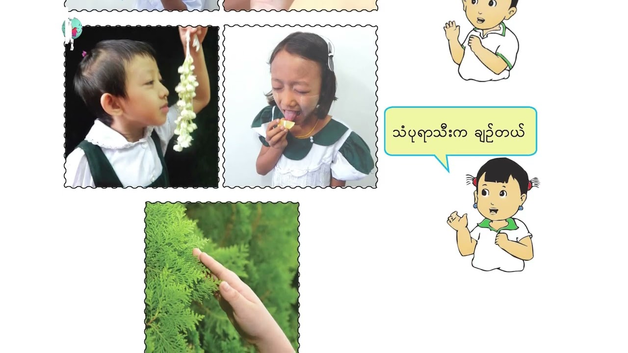 Grade 1 Science Unit 2
