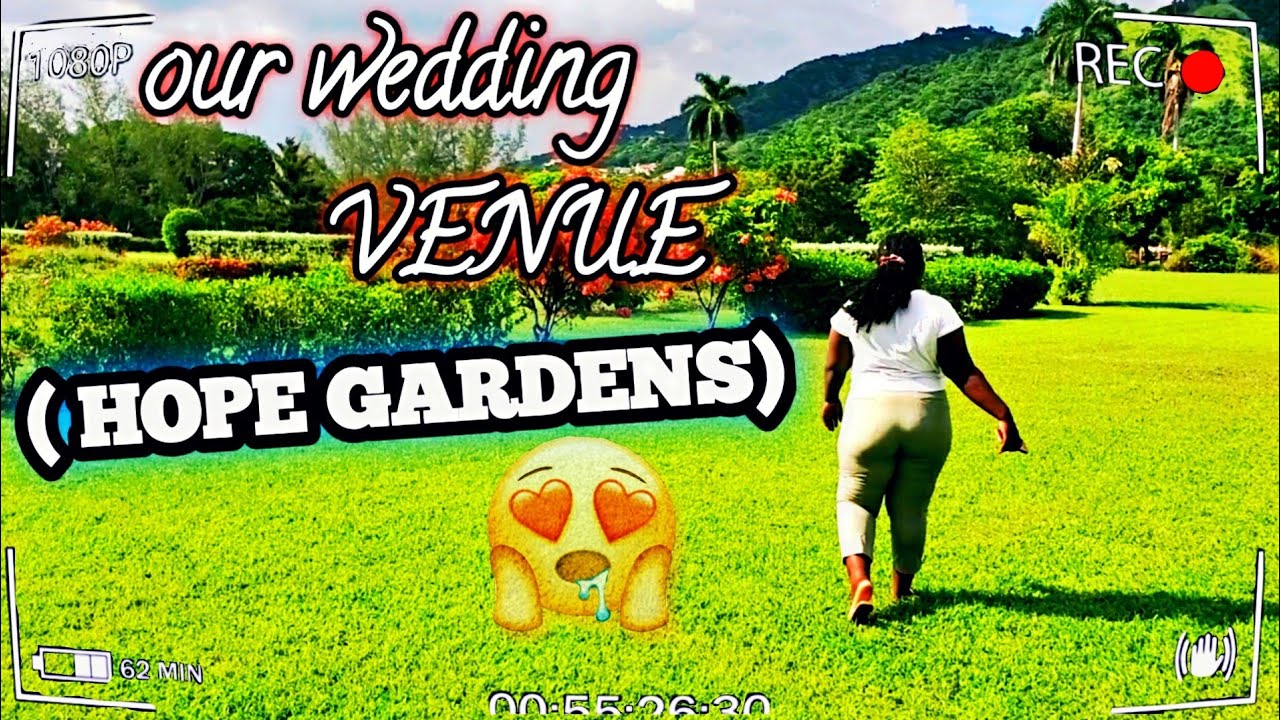#therichardswedding: HOPE GARDENS) #WEDDING #JAMAICA 🥂🍾 POSSIBLE WEDDING LOCATION🍓