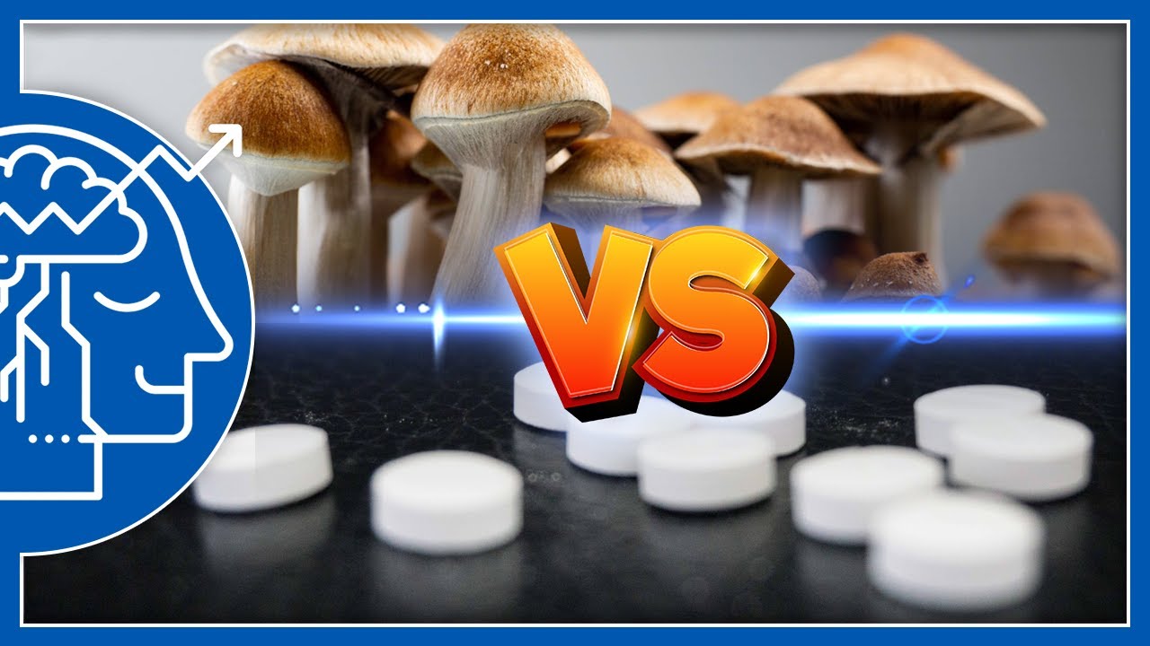 Psilocybin vs Antidepressiva - neue Studie!