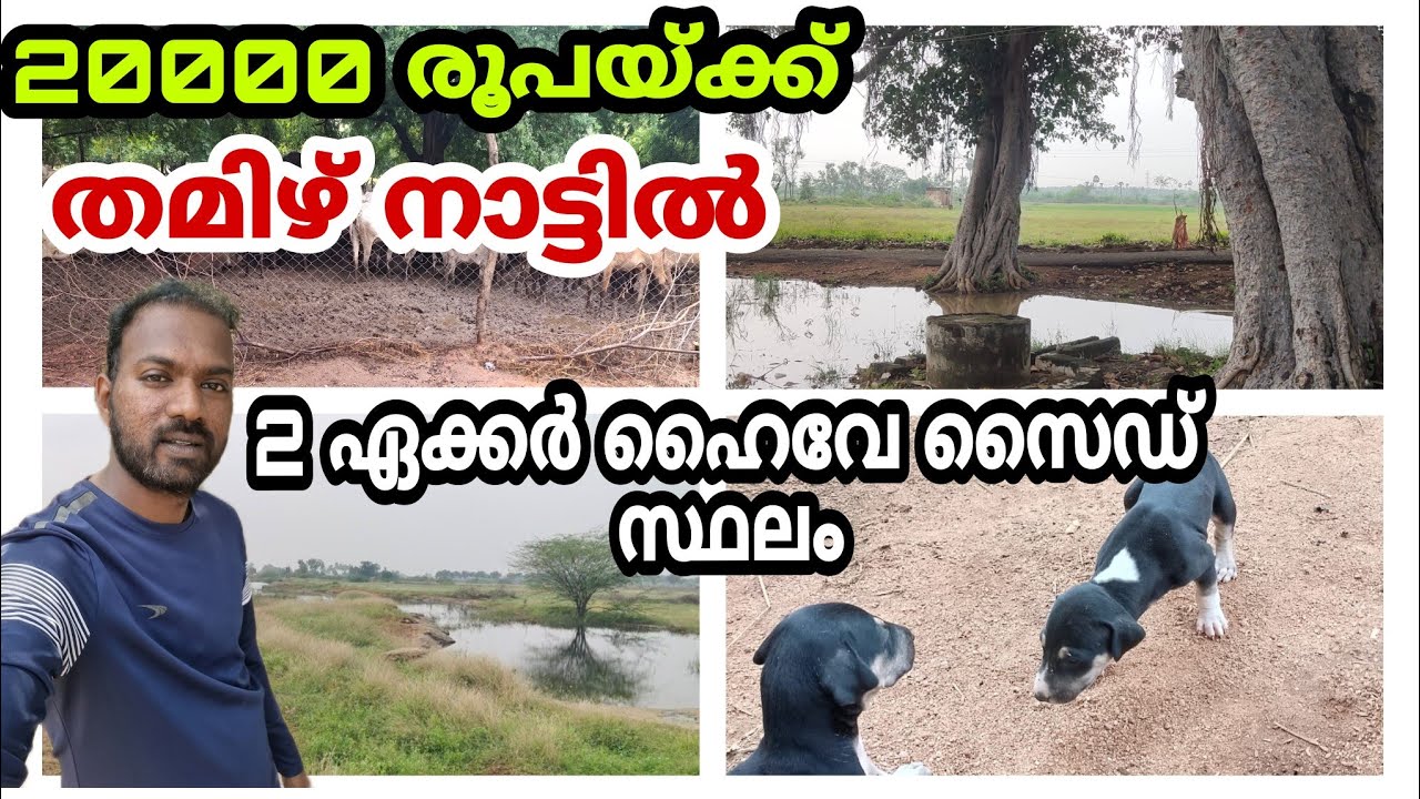 20000 രൂപയ്ക്ക് സ്ഥലം കിട്ടുന്ന തമിഴ് ഗ്രാമം | Srivilliputtur village life