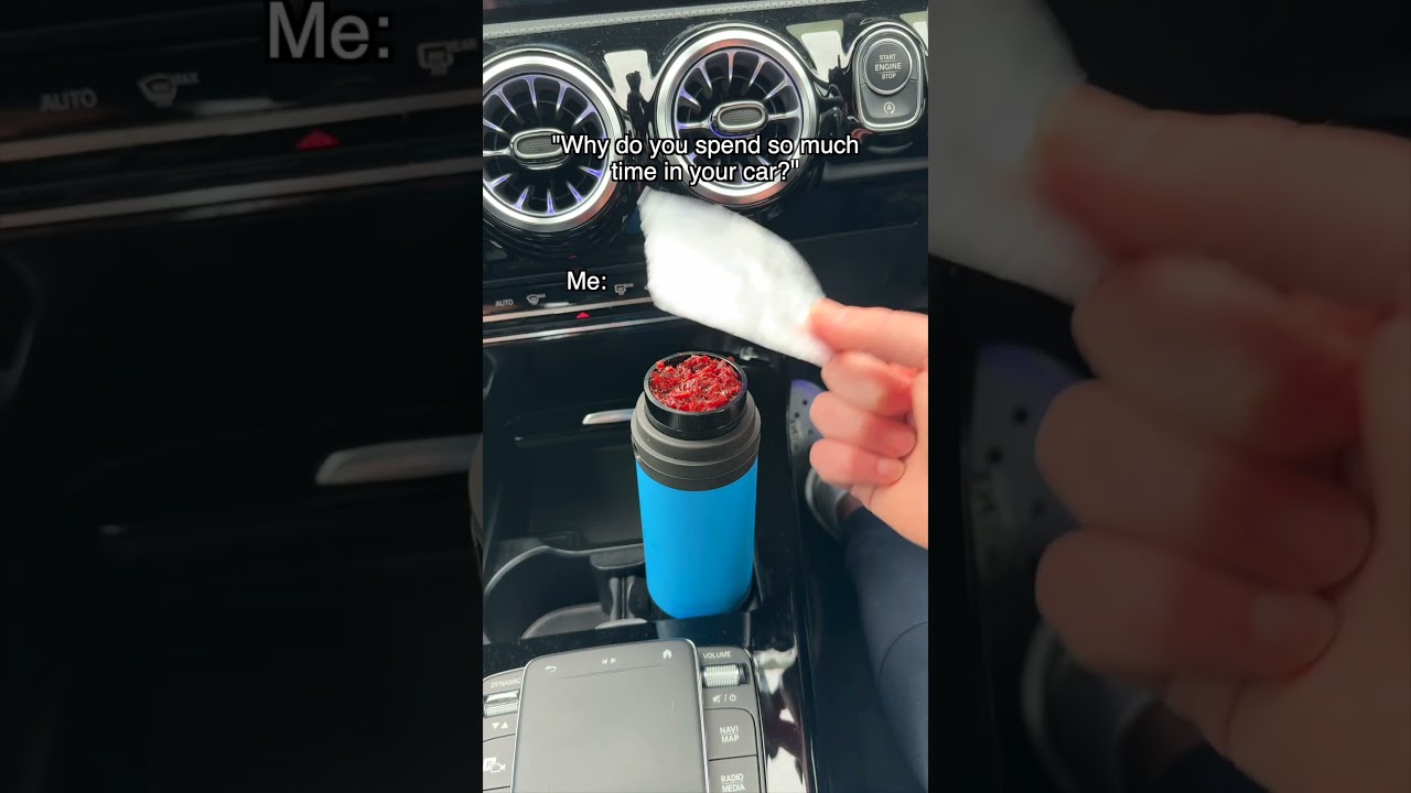 POV: You found the best car gadget 🚗💨