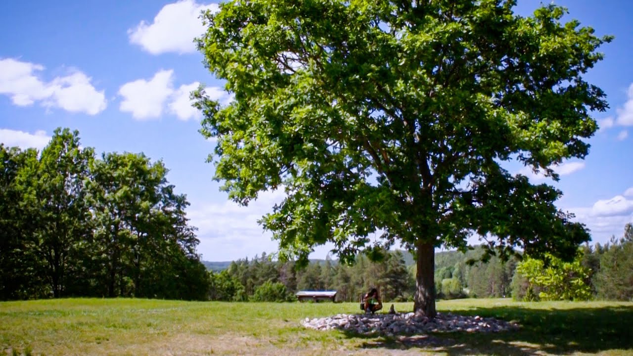 Ladakalnis (2015)