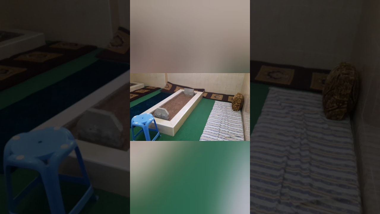 الزاوية العلاوية الخاصة بسيدي الشيخ البوزيدي وسيدي الشيخ عبد الرحيم قدس الله سرهما