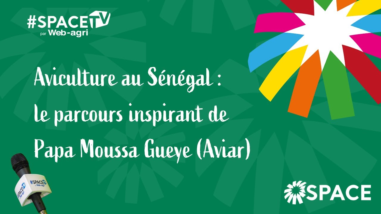 🐥 Aviculture au S&eacute;n&eacute;gal : le parcours inspirant de Papa Moussa Gueye (Aviar)