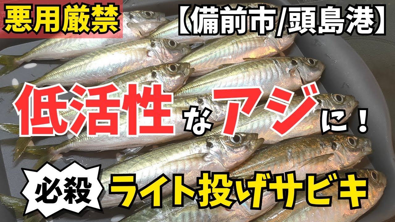 【備前市/頭島港】岡山の幻！低活性アジが口を使うライト投げサビキ