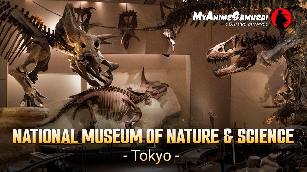 National Museum of Nature and Science (Tokyo)