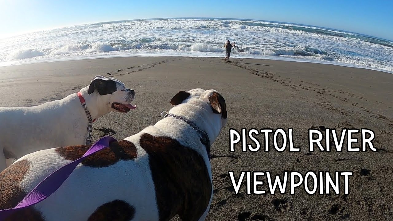 Yelling Dog Owners and Amazing Views - PNW Adventures 2024