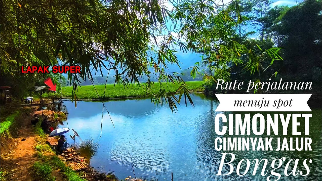 Rute perjalanan menuju spot CIMONYET ciminyak bongas lapak bleseng banyak babin nila