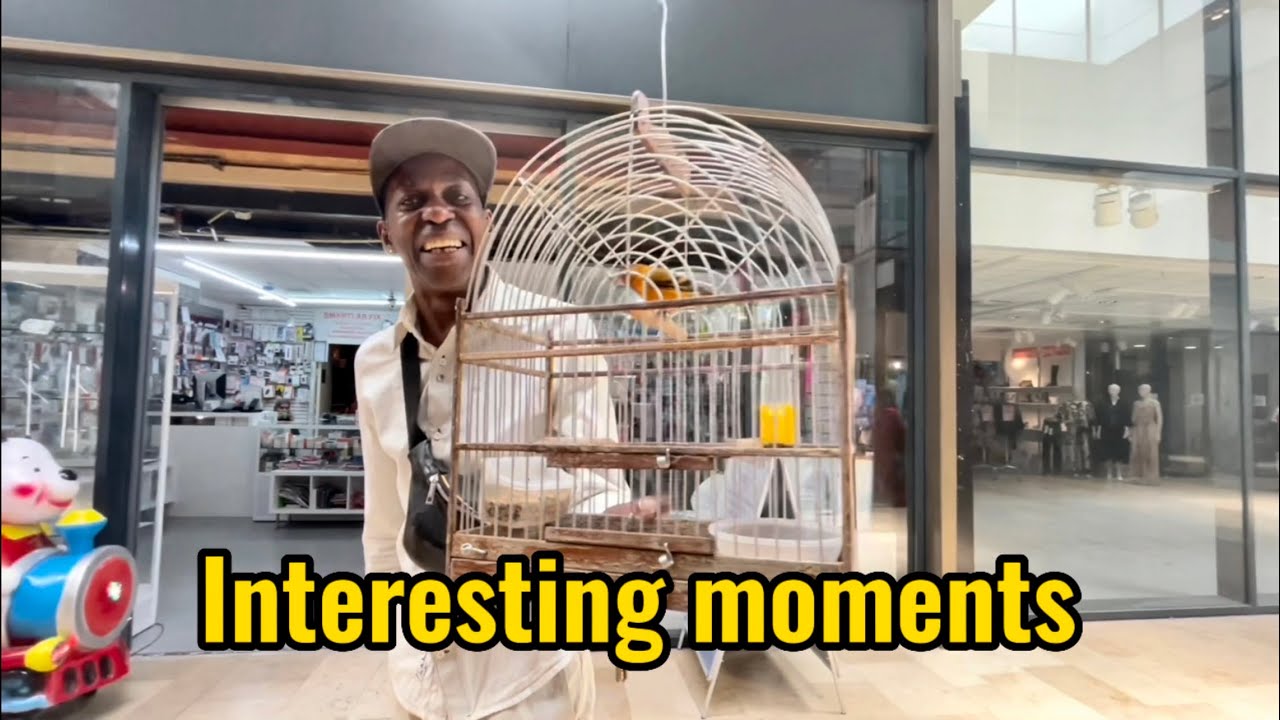 Rotterdam Best shopping center | Zuidplein winkelcentrum
