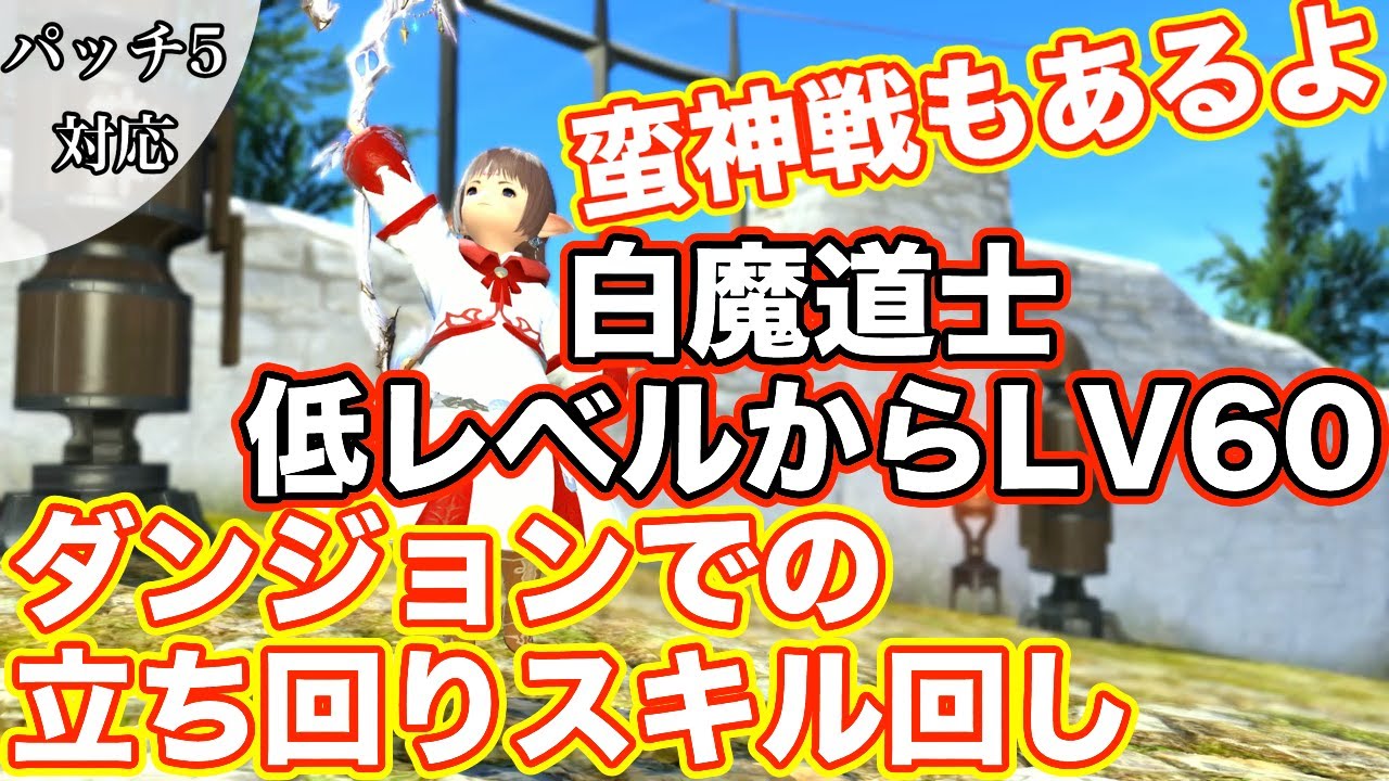 【FF14】白魔道士低レベルからLv60までの立ち回りスキル回しを考えてみる【白魔道士で楽しく、そして、強く戦っていこう パッチ5対応】
