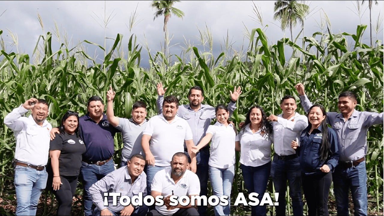 Proyecto ASA en Guatemala