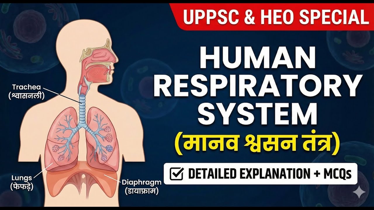 Respiratory System (मानव श्वसन तंत्र) | Complete Theory + MCQs | UPPSC, HEO & RO/ARO #uppsc2026