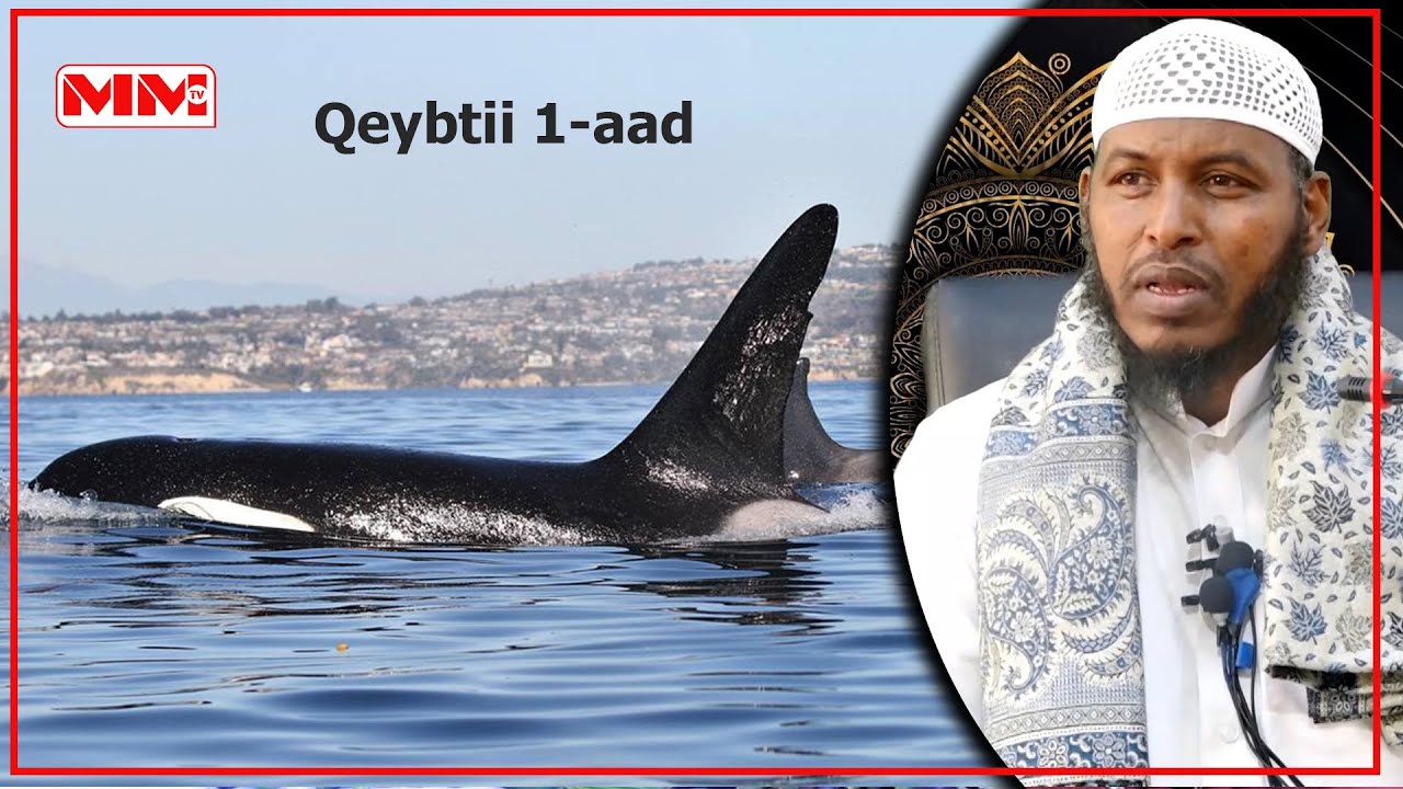 Qisadii Nabi Yoonis (CS) Qeybtii 1-aad || Sheekh Barbaraawi