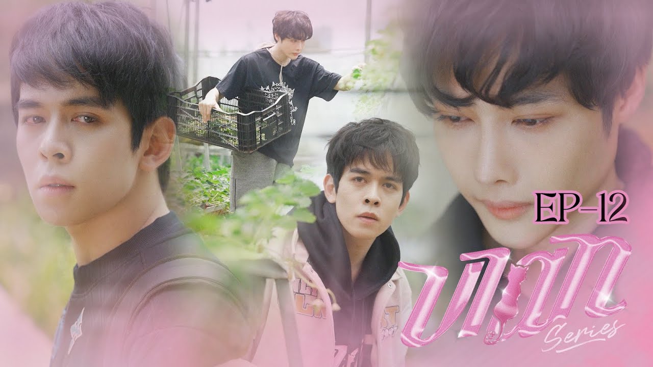 VIAN THE SERIES  -  Tập 12 (Tập cuối)  I  V&igrave; Ch&uacute;ng ta l&agrave; Một Gia Đ&igrave;nh