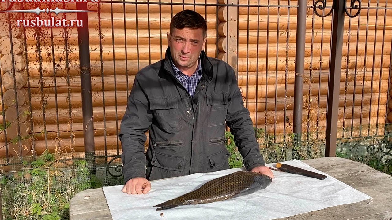 Разделка карпа северным ножом из стали 9ХС ручной ковки. Русский булат.