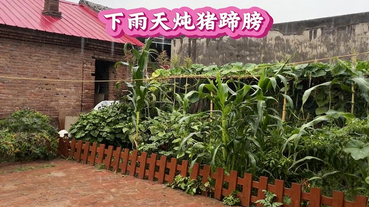 下雨天，在農村小院來頓麻辣串On a rainy day，let's have a spicy skewer in a rural courtyard#life #delicious #food