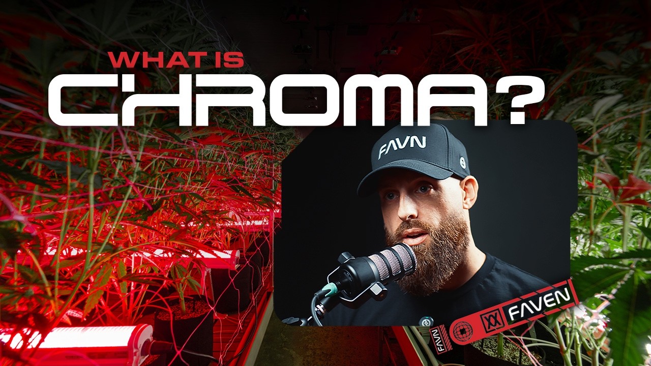 What is Chroma?   Faven's New Under Canopy Light Has Dropped