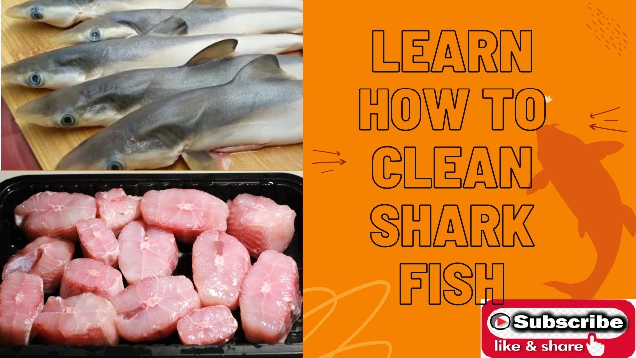How to clean Shark fish or Mushi Fish
