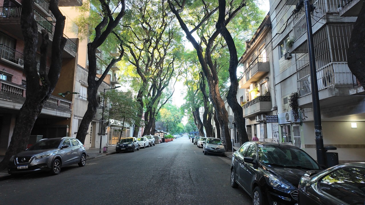 Buenos Aires Saturday Morning Walk 4K | Tree-Lined Streets of Palermo 🇦🇷