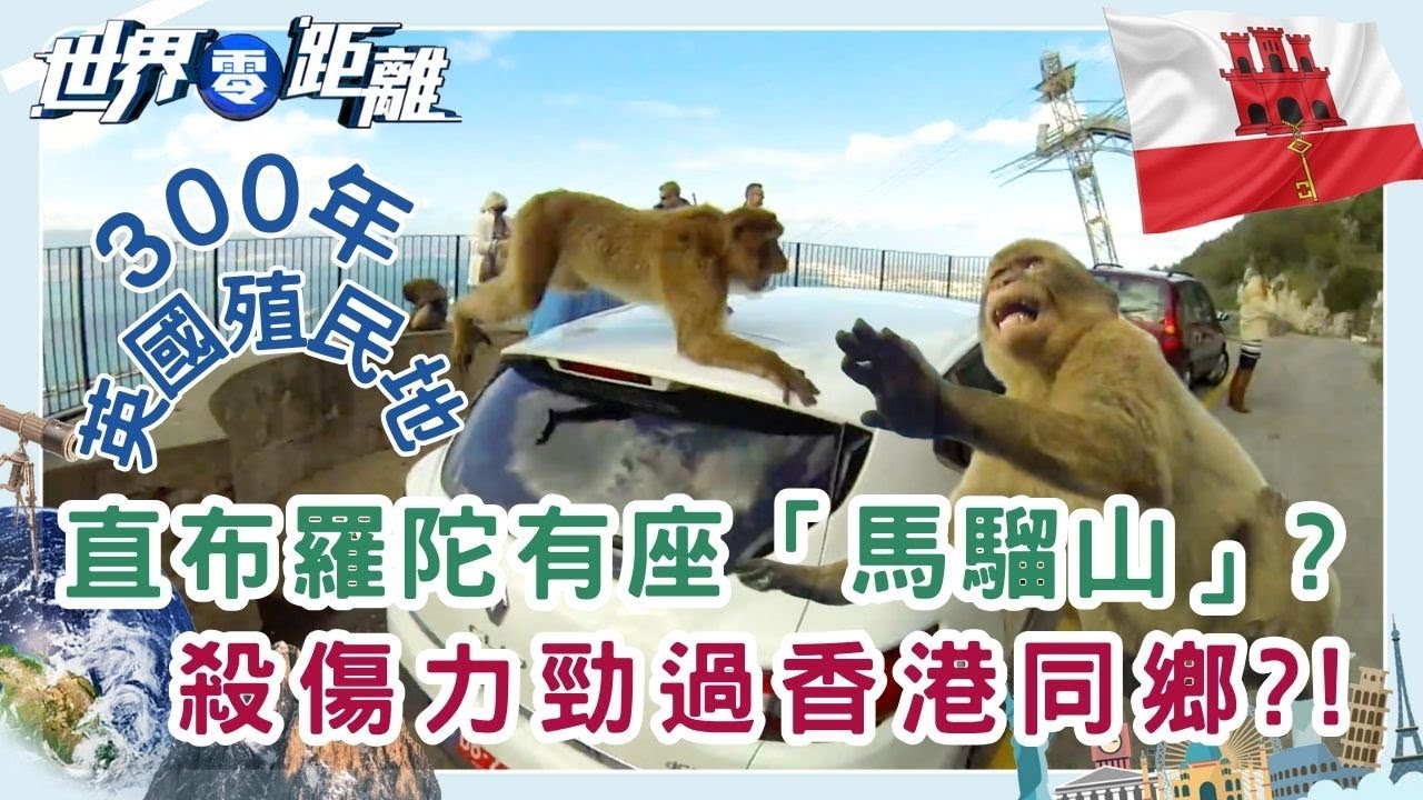 直布羅陀英屬殖民地的堅持 為何拒絕回歸西班牙？地小人多的生存之道 | 世界零距離 | TVB | 資訊節目 | 方東昇
