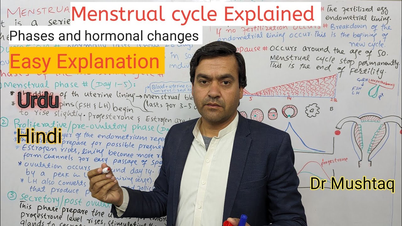 Menstrual cycle || Biology class 12 || Dr Mushtaq Urdu Lectures