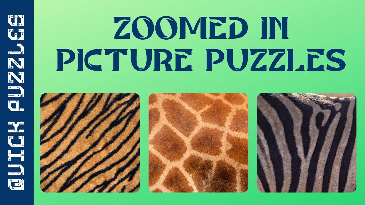Zoomed in Picture Puzzle | Zoomed in Picture Guessing Game | Part 1 | Object Puzzle | Quick Puzzles