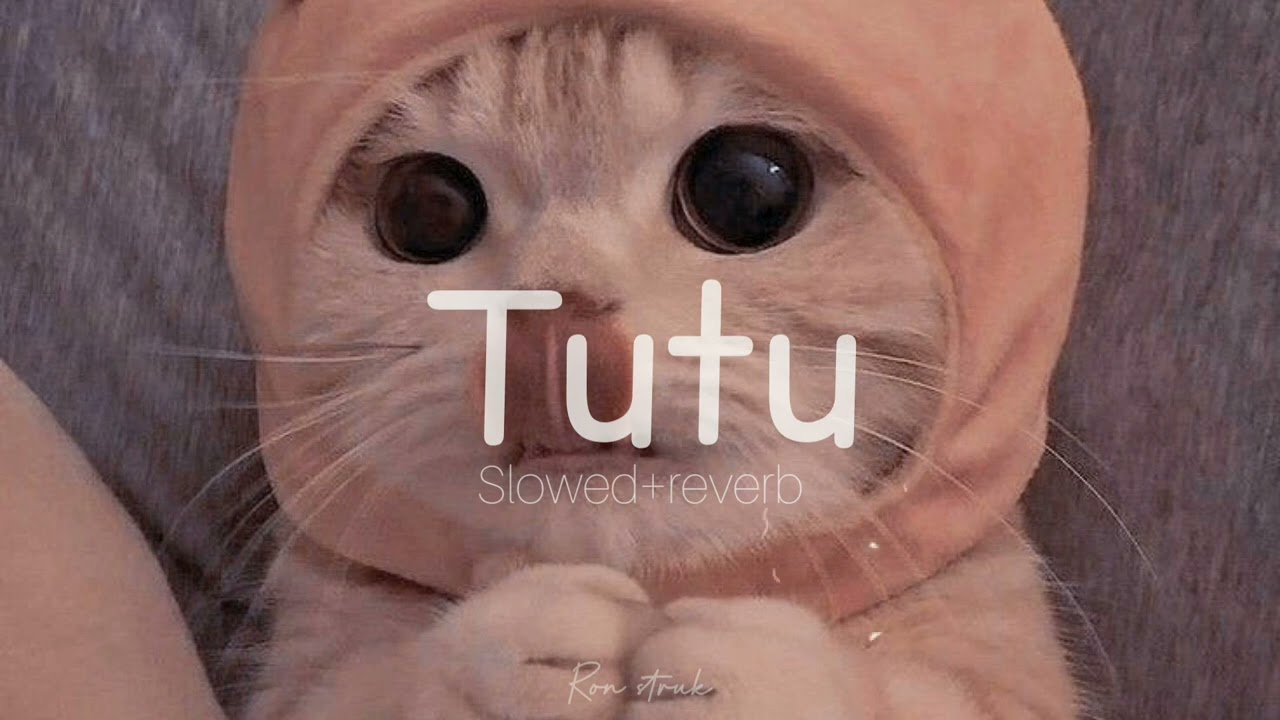 Tutu - (cute version)Alma zarza  [Slowed+reverb]