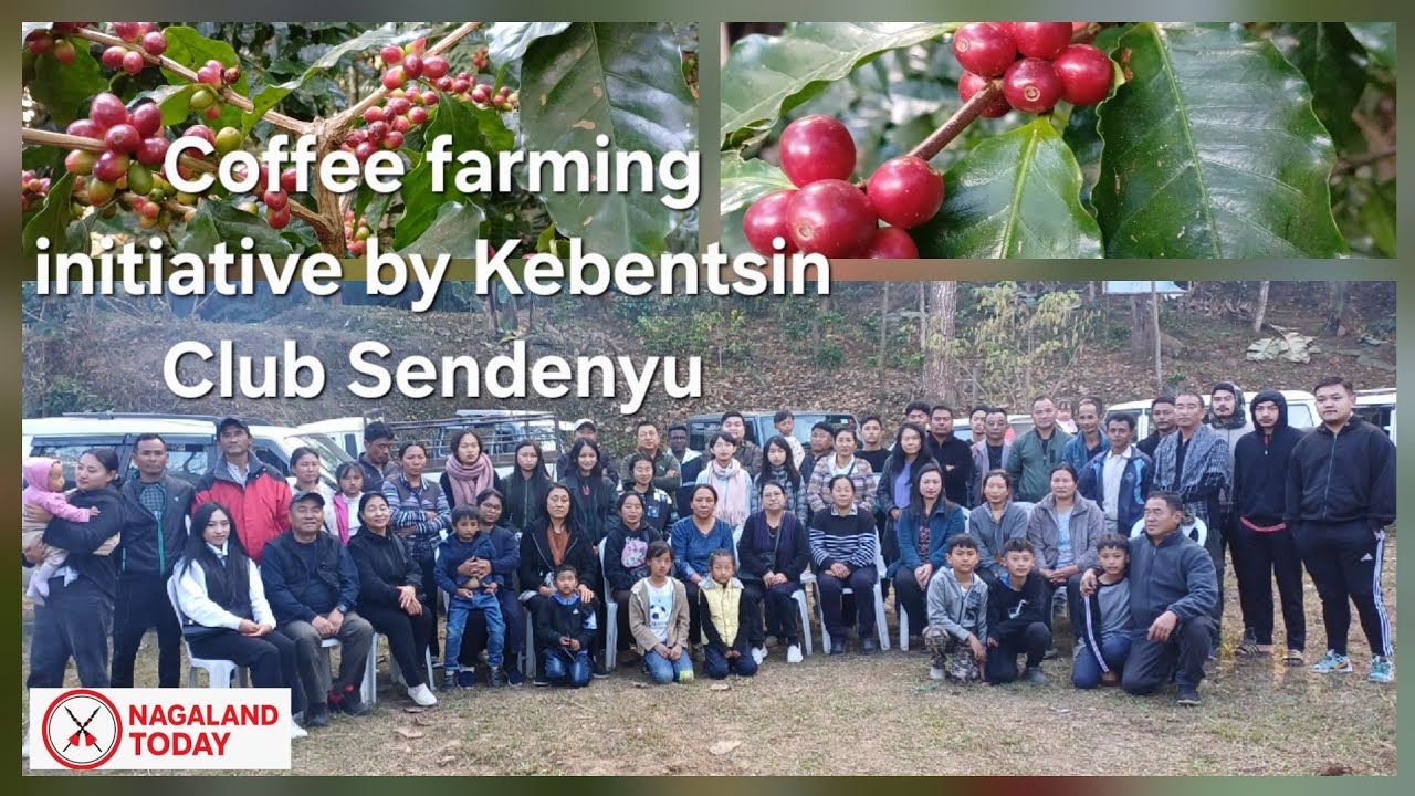Кофейная ферма Sendenyu отмечает 10-летие со дня основания под управлением KAAS.