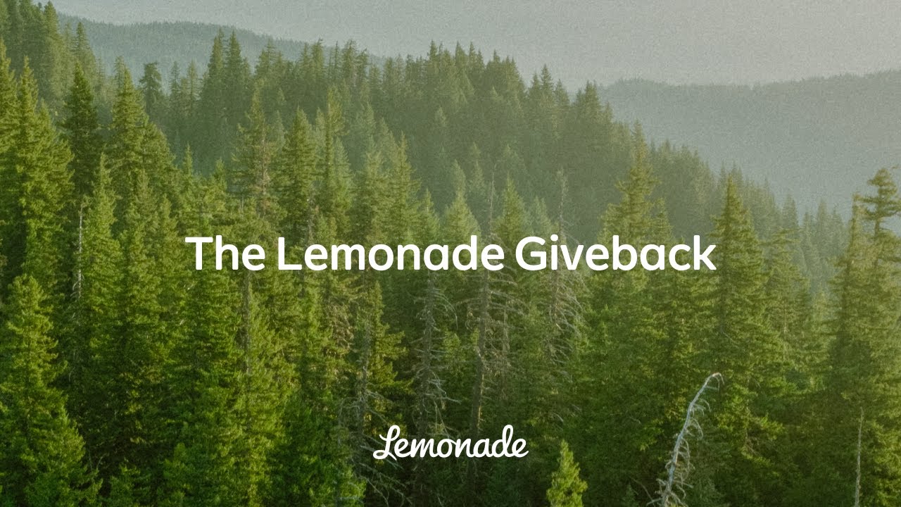 Программа пожертвований Lemonade