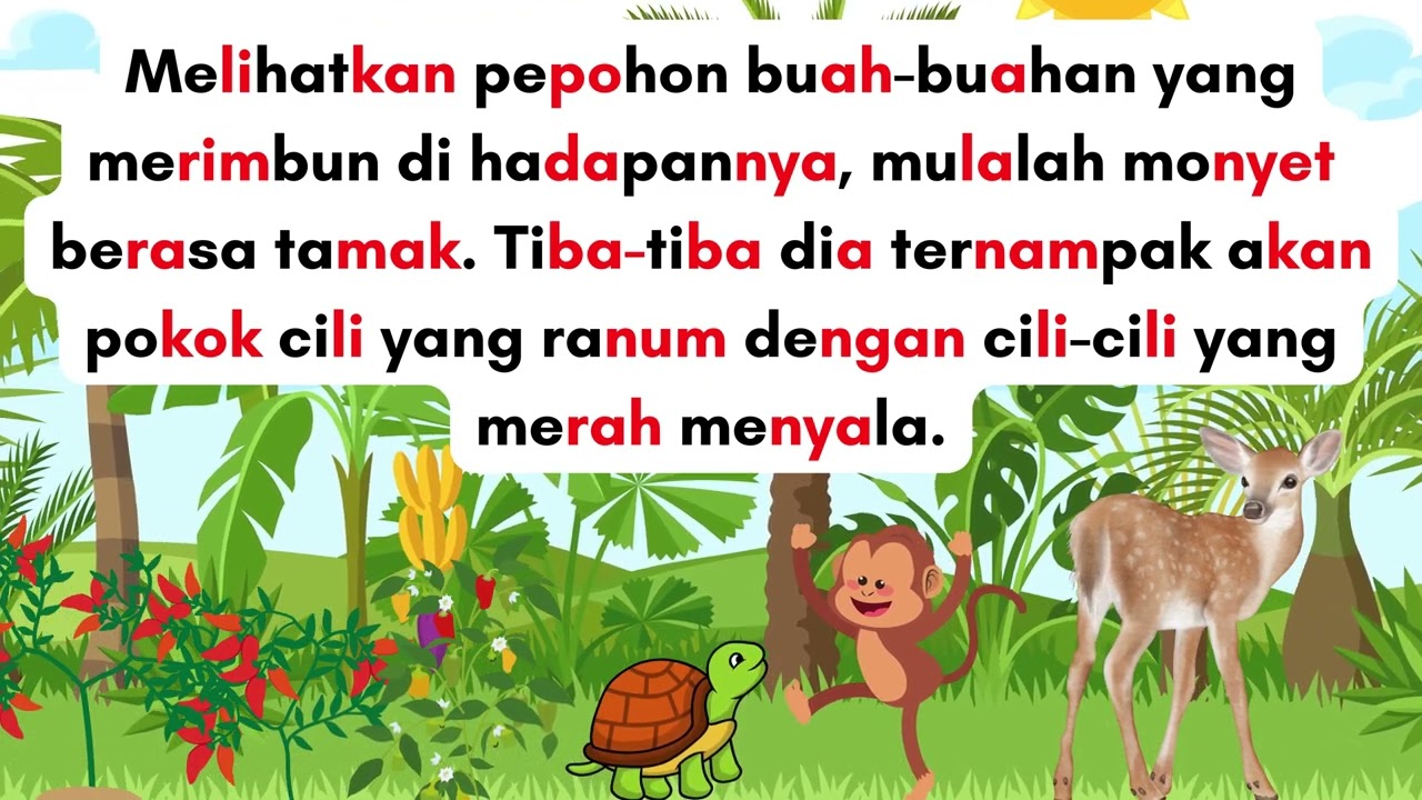 KISAH MONYET YANG DEGIL | BERCERITA / MEMBACA BUKU SUKU KATA | CERITA KANAK-KANAK |