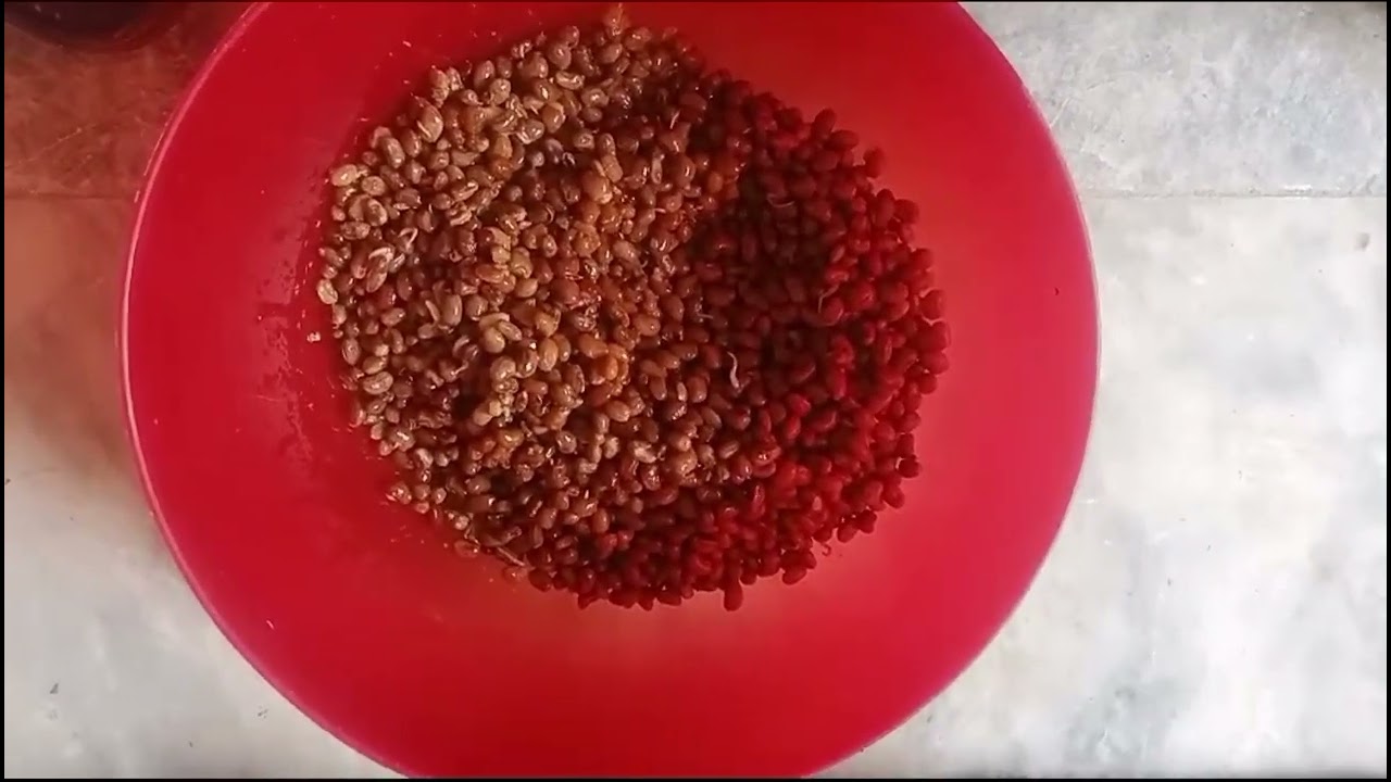 Lobia Masala Curry | Black Lobia ka Salan | لوبیا بنانے کا طریقہ ایک بار کھاؤ گے باربار بناؤ گے