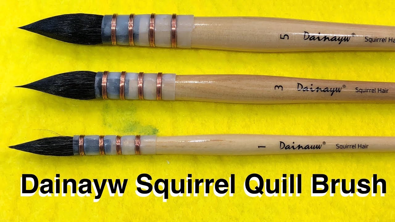 Dainayw Squirrel Quill Brushes - Opening, First Opinion Watercolor