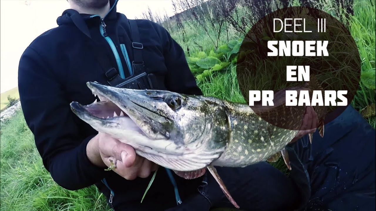 VISSEN OP POLDERMONSTERS (3): SNOEK EN PR BAARS!!!