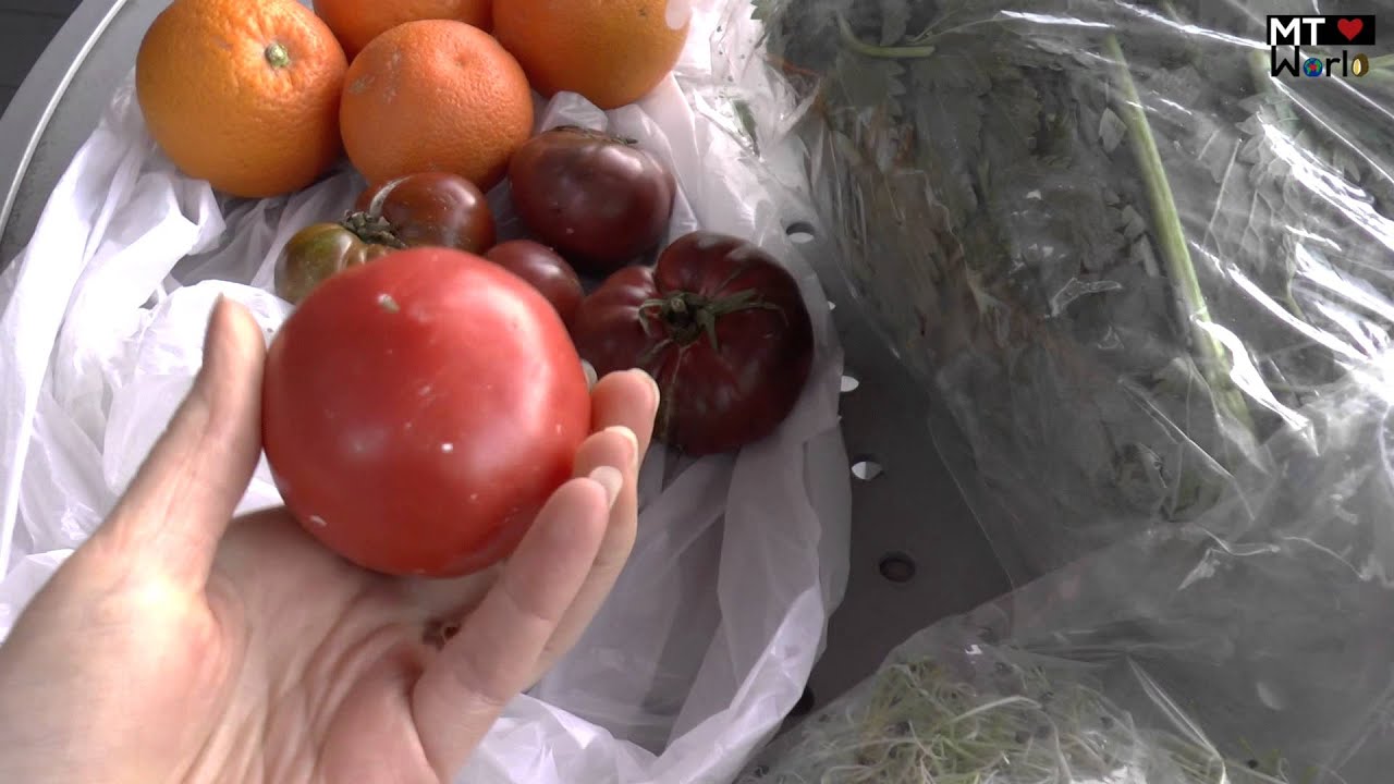 Little Italy Farmers Market San Diego